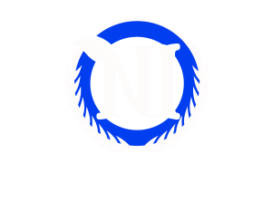 New Image Hardscapes & Pavers