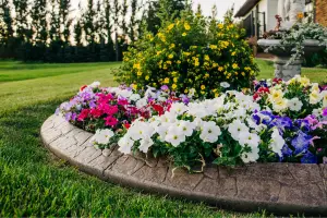 Top Landscape Curbing Benefits for Homes in The Villages and Ocala