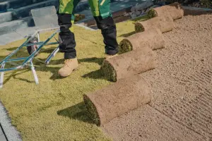 Sod and Irrigation Tips