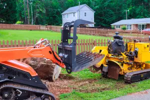 The Complete Guide to Land Clearing for Wildwood and Lady Lake Properties