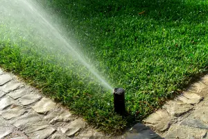 5 Warning Signs Your Lady Lake Irrigation System Is Failing