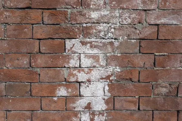 Efflorescence on Pavers
