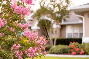 Florida Friendly Plants Built for Brutal Central Florida Heat