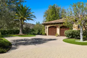 Tree Root Damage to Driveways