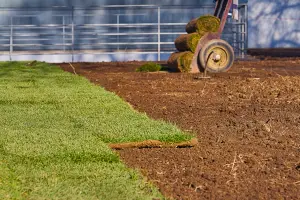 Yard Grading Mistakes