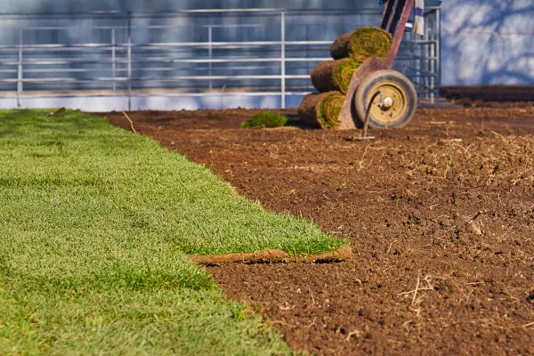 Yard Grading Mistakes